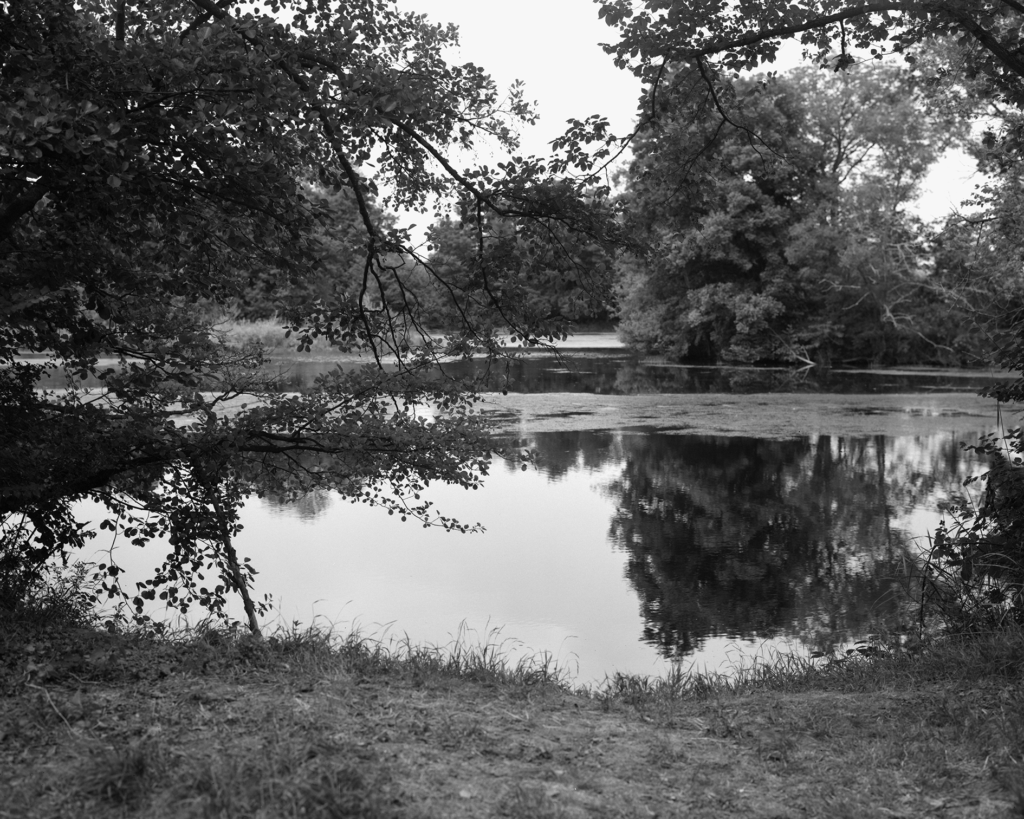 ©Loïc Xavier, extrait de la série S'ils pouvaient parler, il s'écriraient