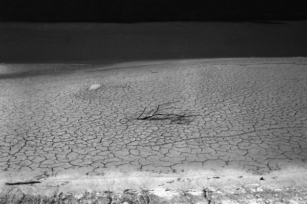 ©Loïc Xavier, extrait de la série S'ils pouvaient parler, il s'écriraient